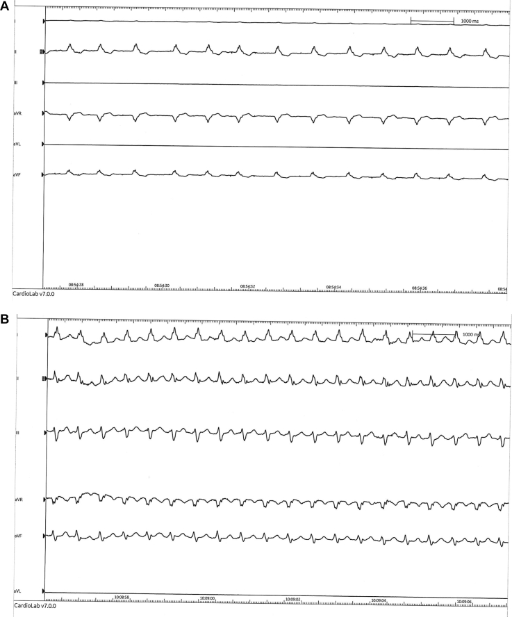 Figure 5