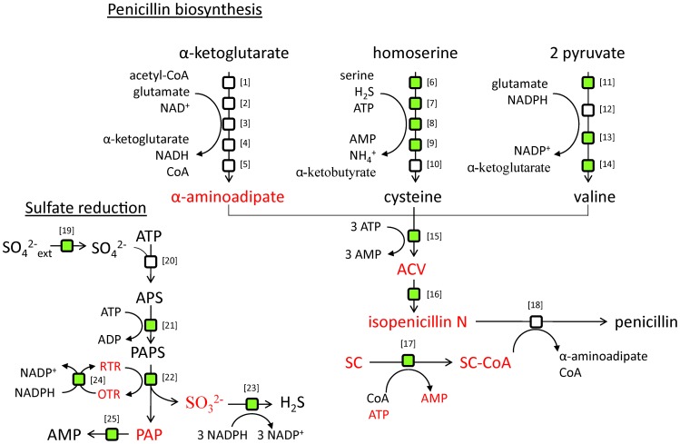 Figure 7