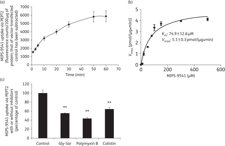 Figure 4.