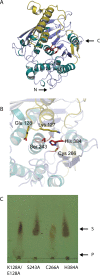 Fig 6