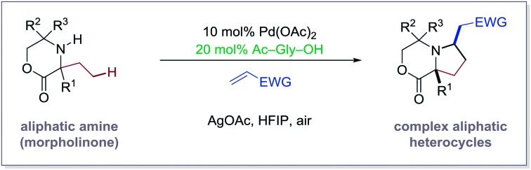 graphic file with name c7sc00468k-ga.jpg