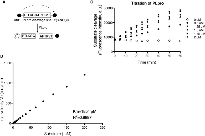 Figure 2.