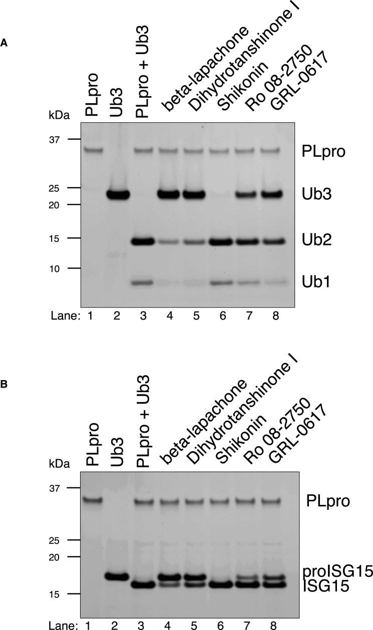 Figure 6.