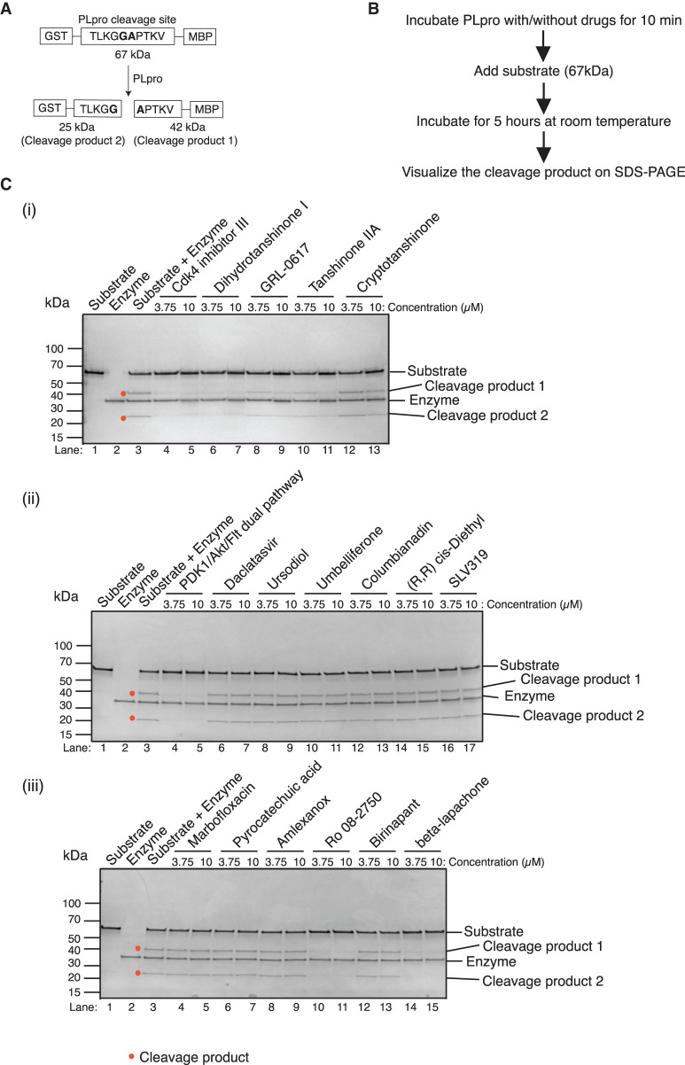 Figure 4.