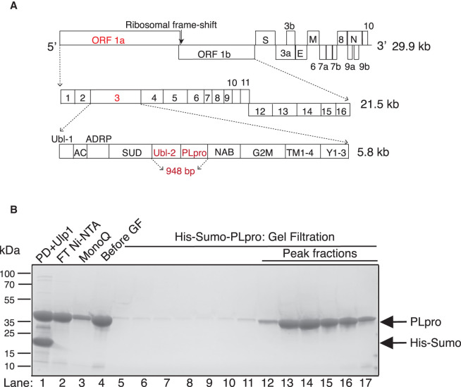 Figure 1.