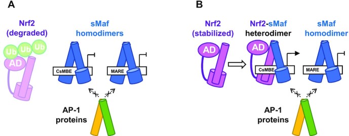 Figure 7.