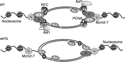 Figure 7.