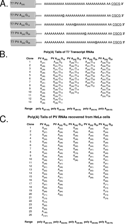 FIG. 8.