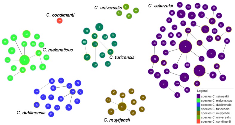 Figure 5