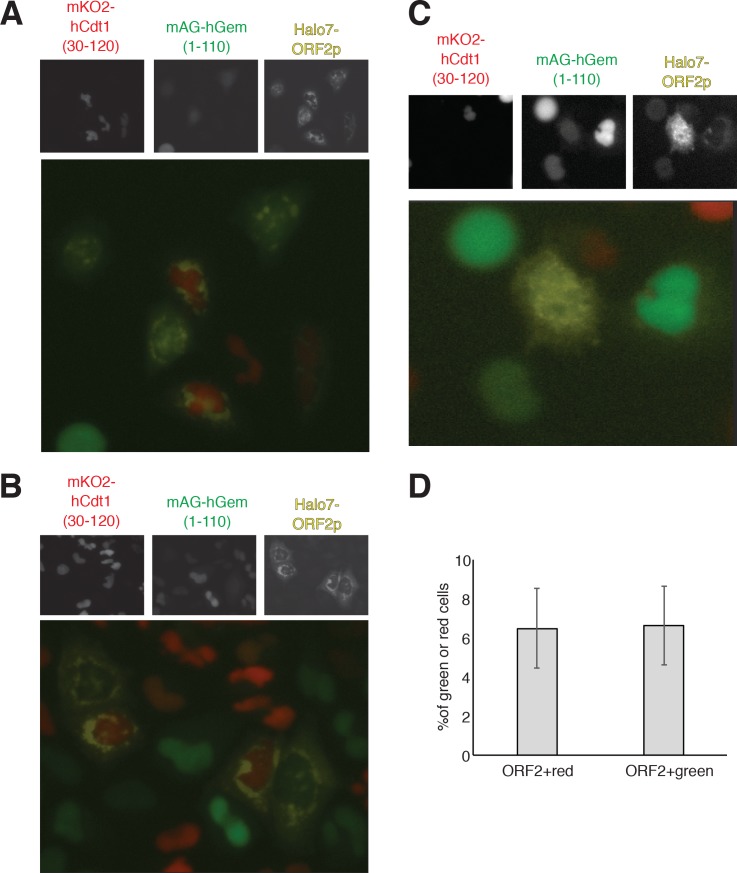 Figure 2—figure supplement 2.