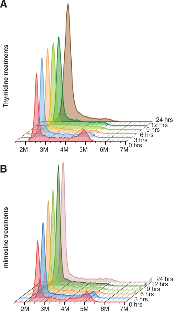 Figure 5—figure supplement 1.