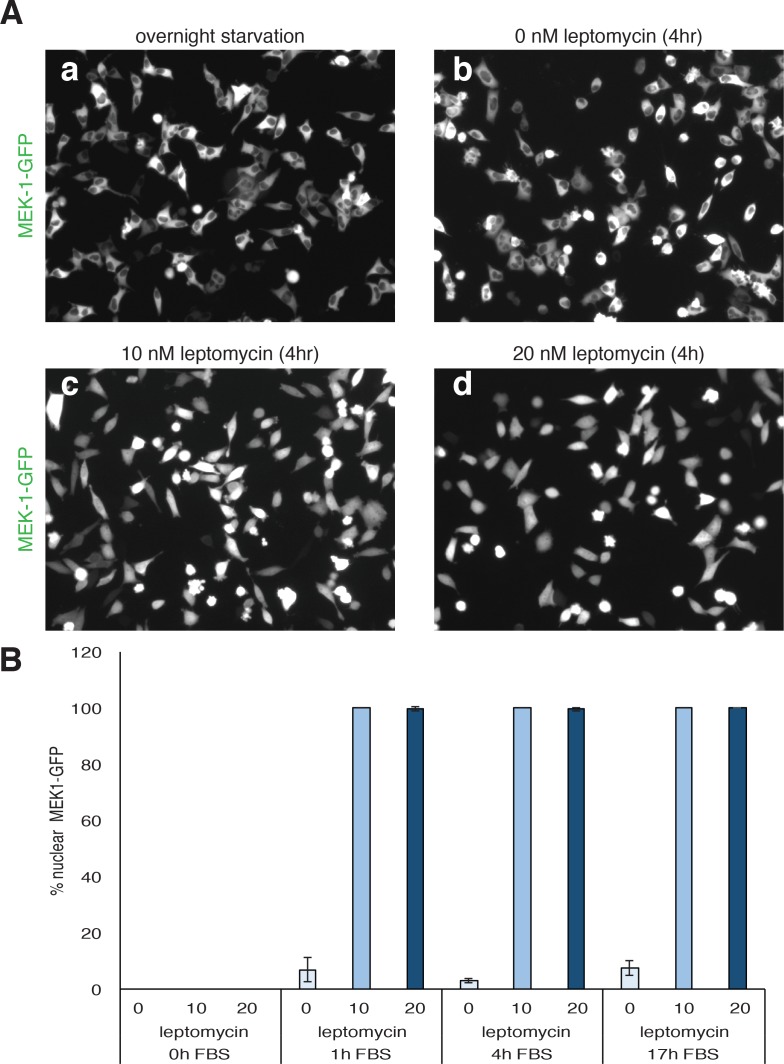 Figure 4—figure supplement 2.