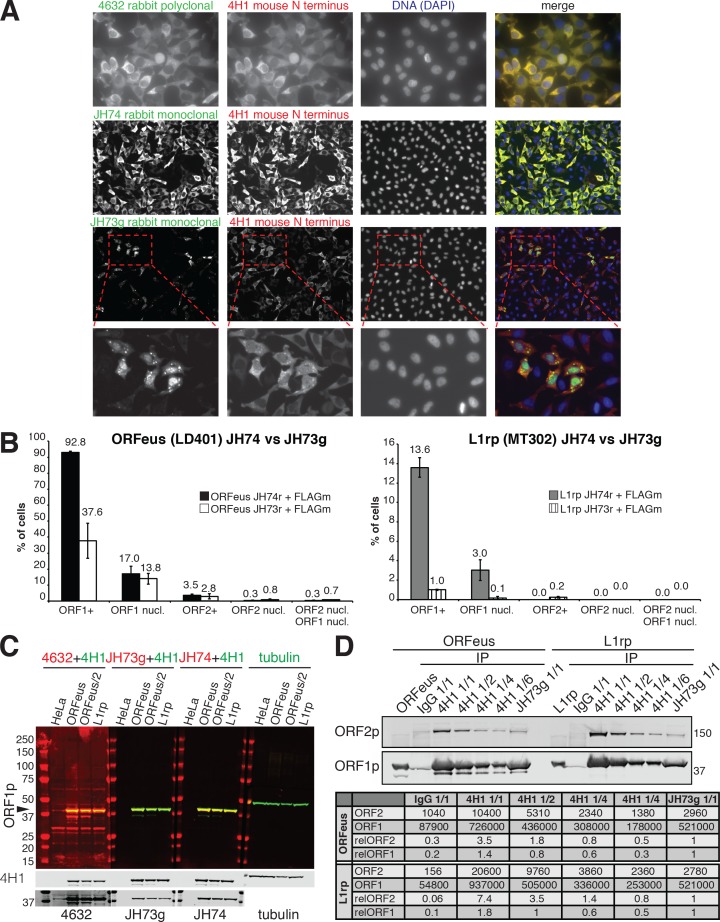 Figure 1—figure supplement 1.