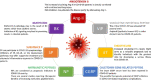 Image, graphical abstract