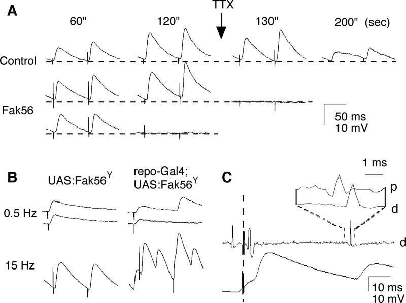 FIG. 4