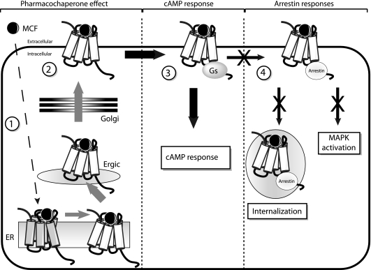 Figure 12.