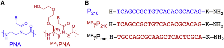 Figure 1