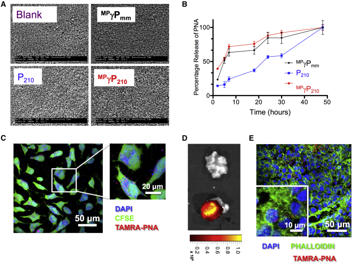 Figure 2