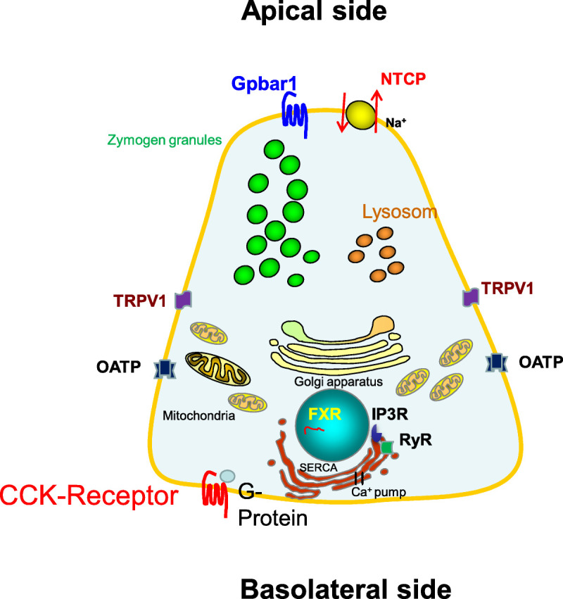 FIGURE 2