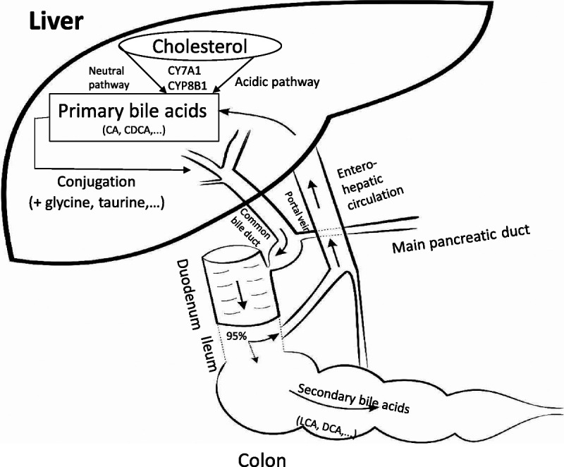 FIGURE 1