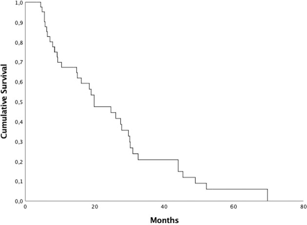 Figure 1