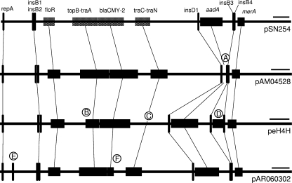 FIG. 2.