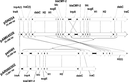 FIG. 3.