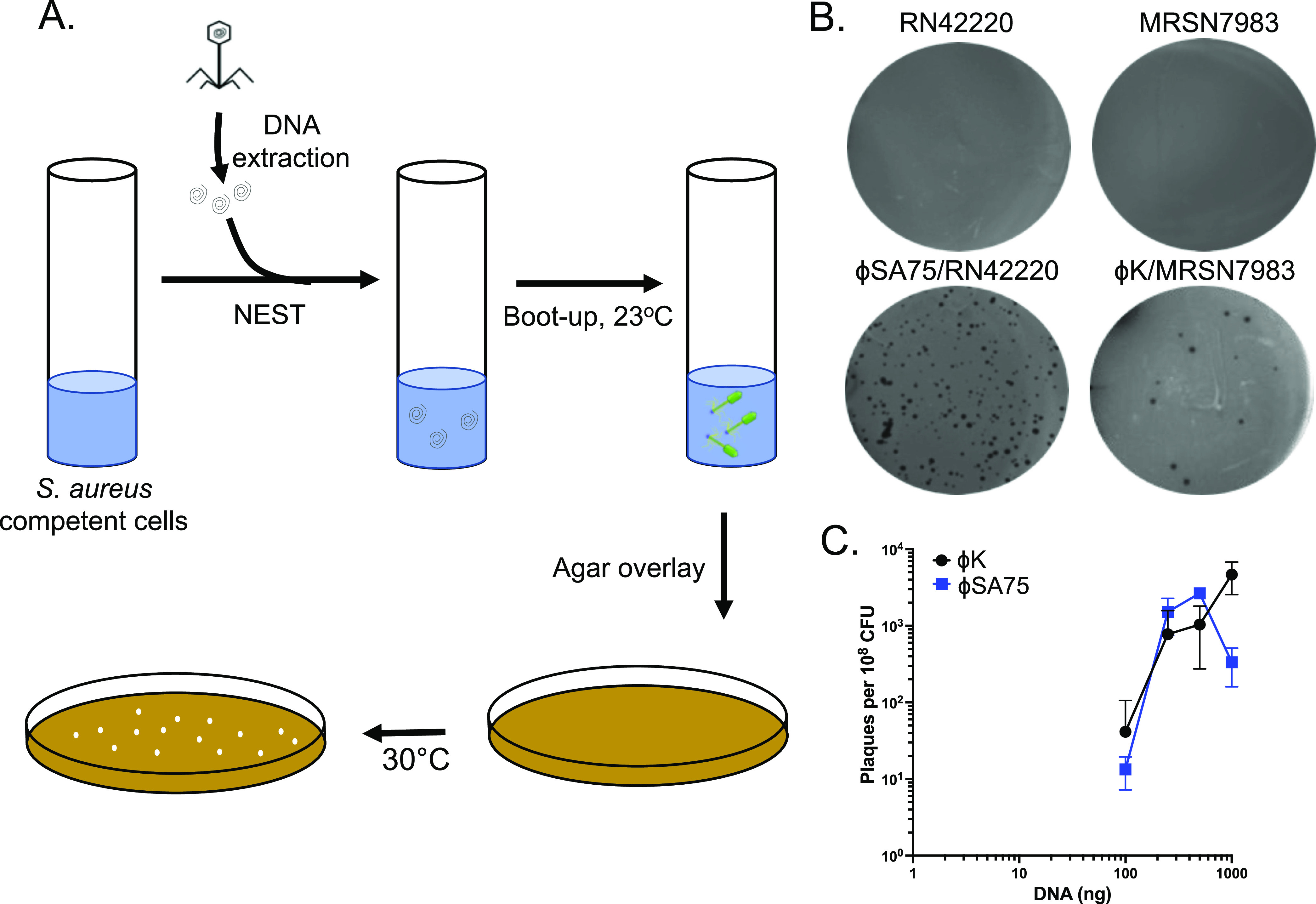 FIG 3