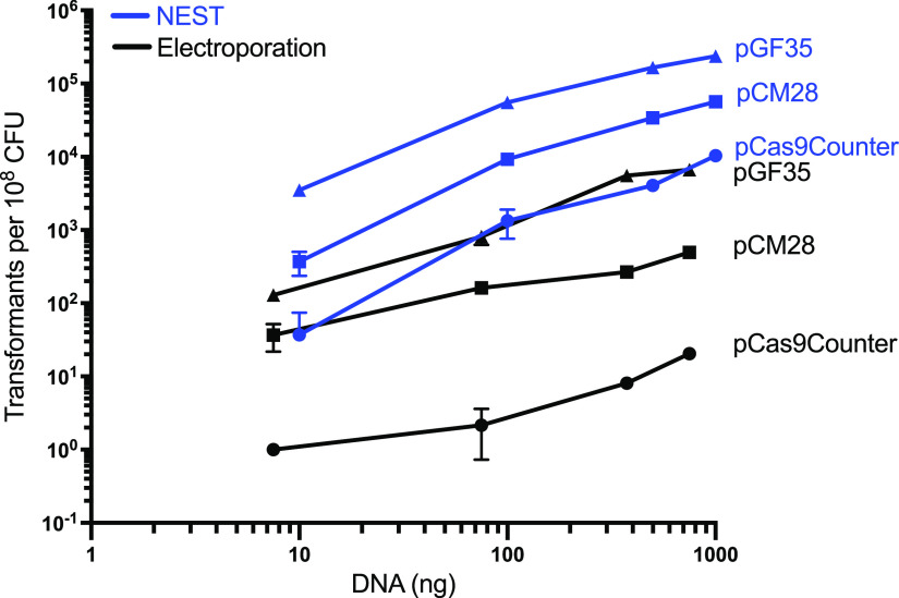 FIG 2