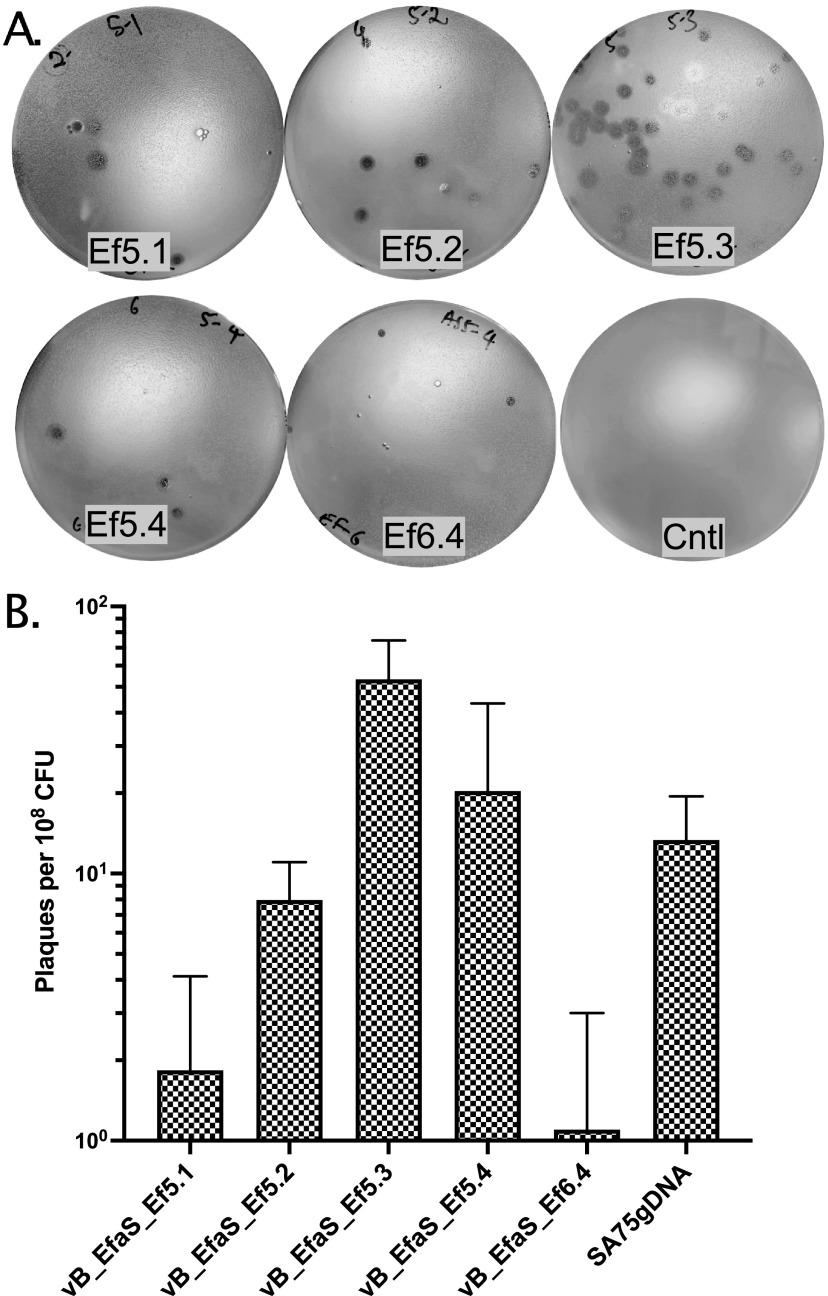 FIG 5