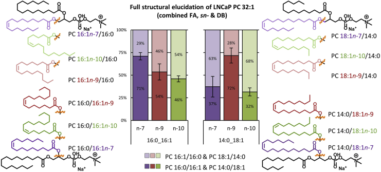 Fig. 3