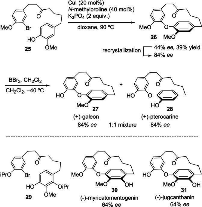 Scheme 7