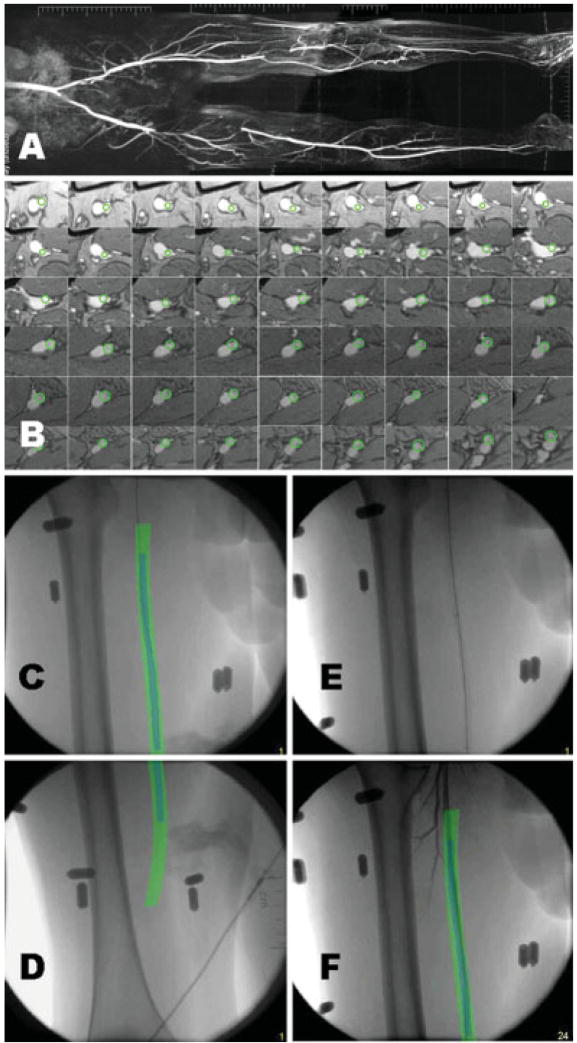 Fig. 6