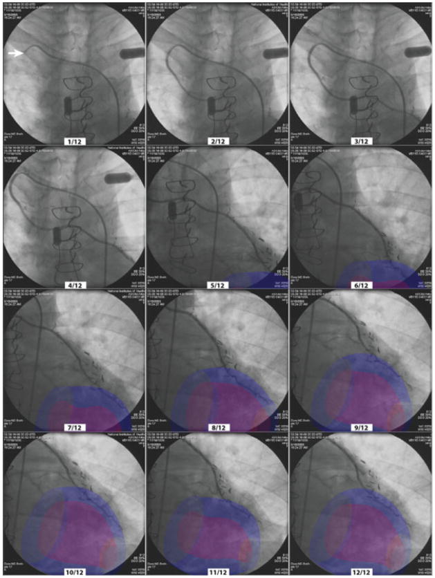 Fig. 7