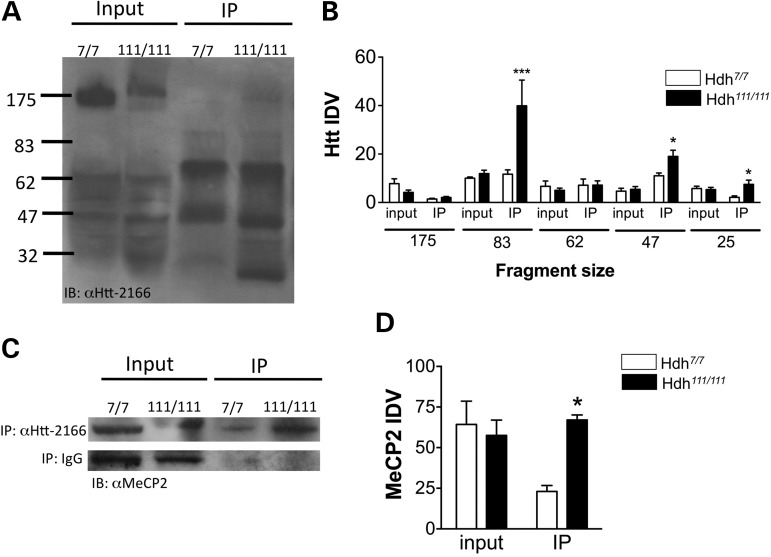 Figure 1.