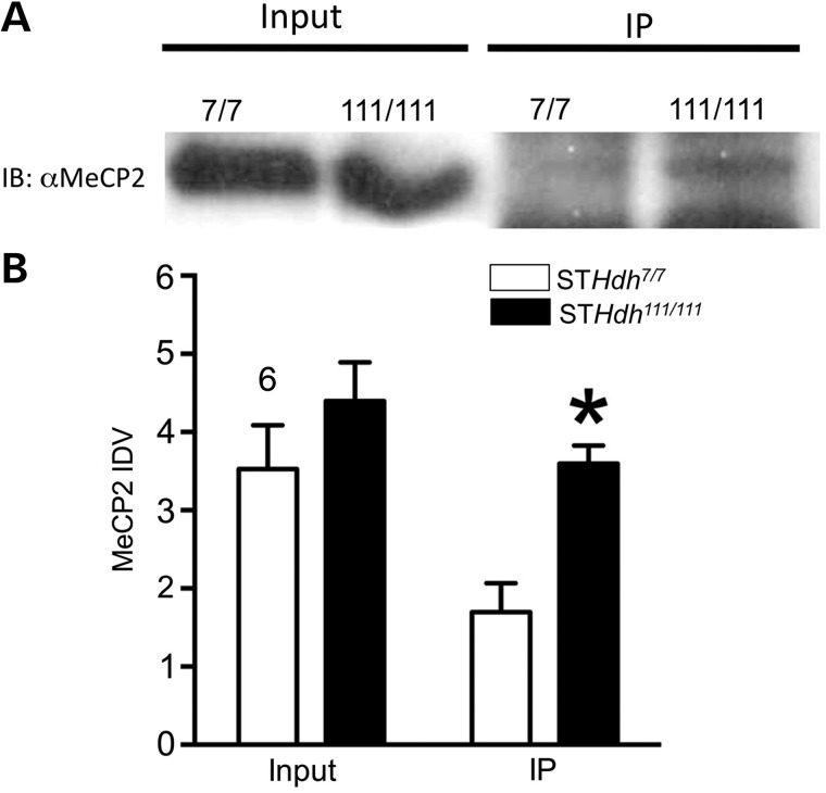 Figure 2.