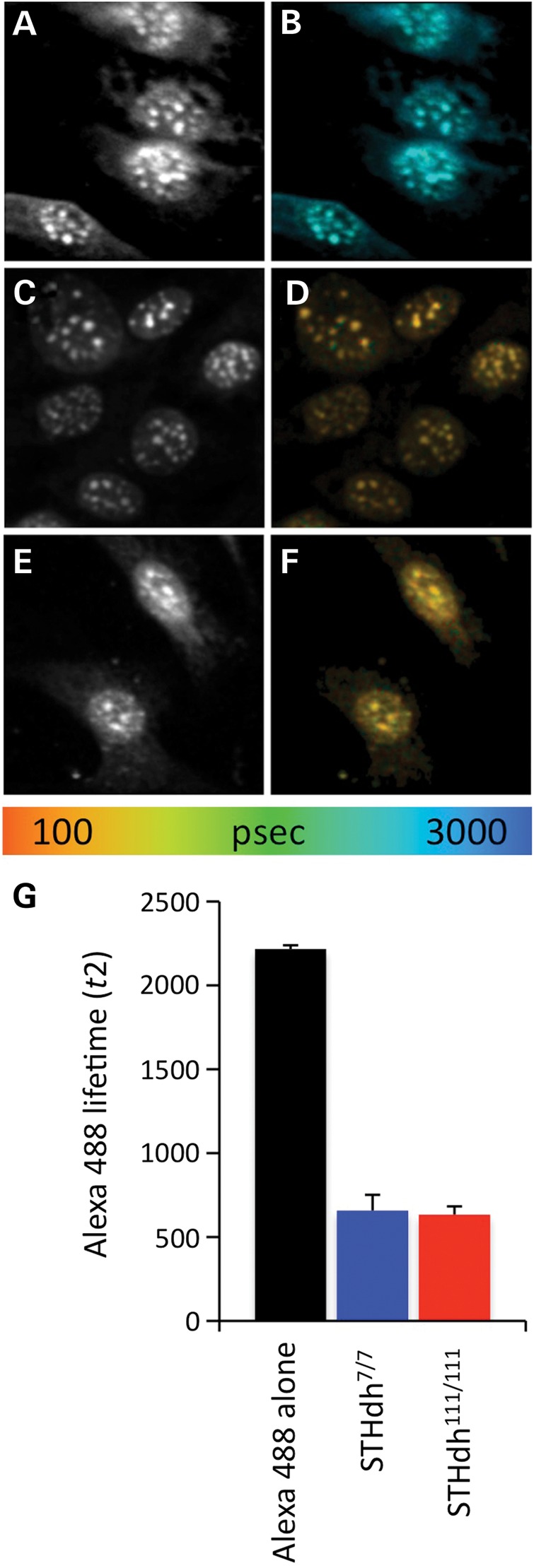 Figure 3.