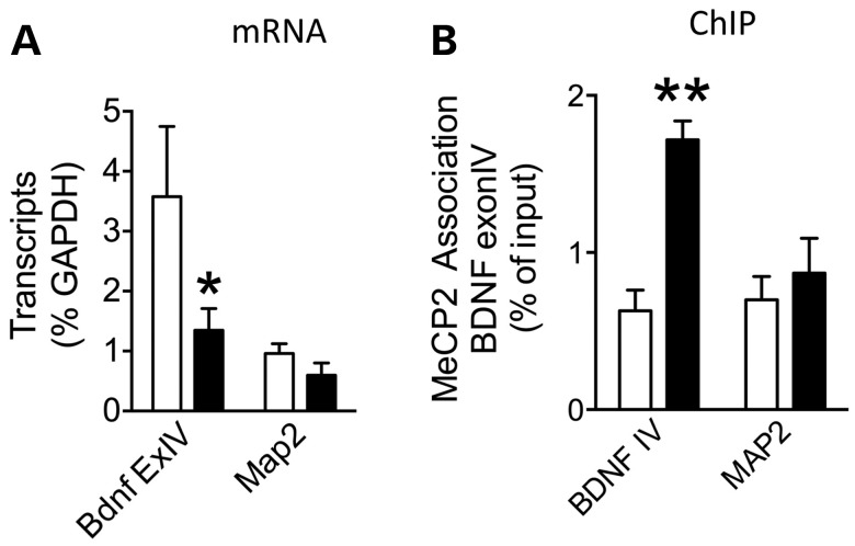 Figure 5.