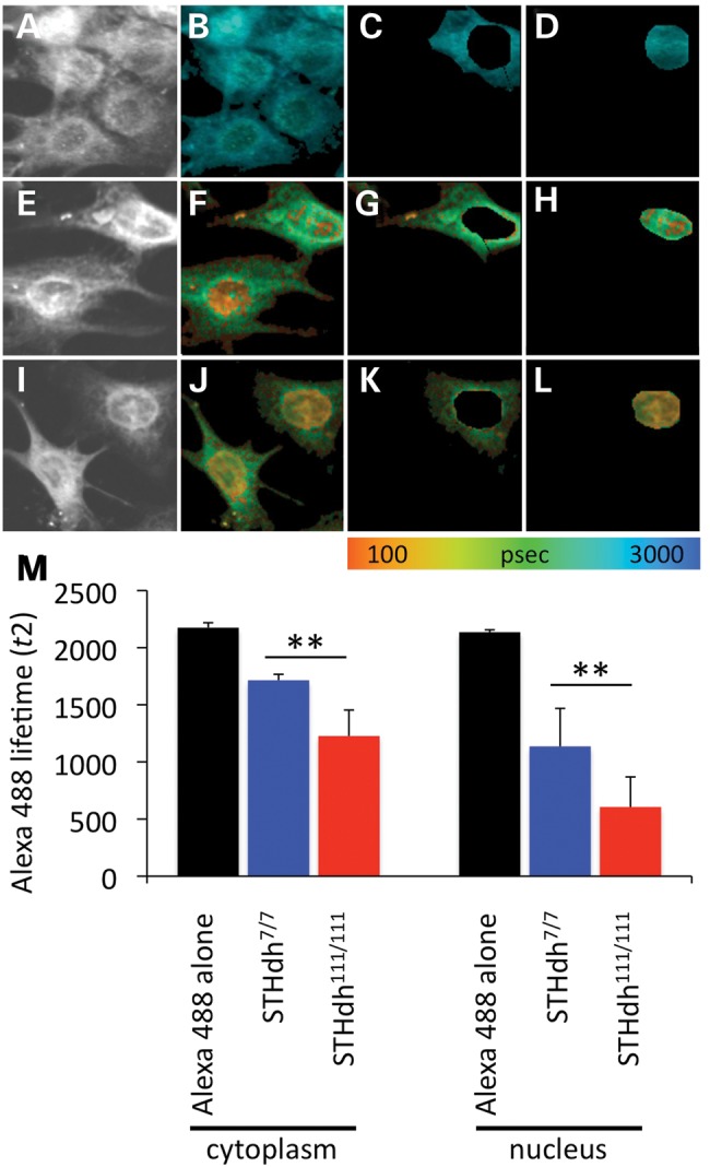 Figure 4.