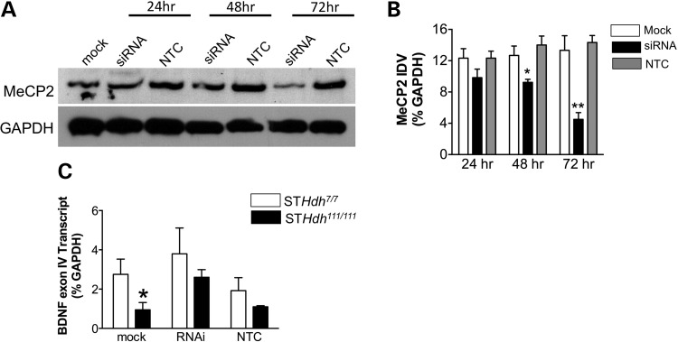 Figure 6.