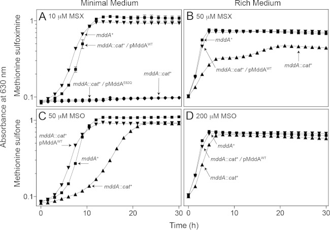 FIG 2