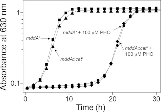 FIG 4