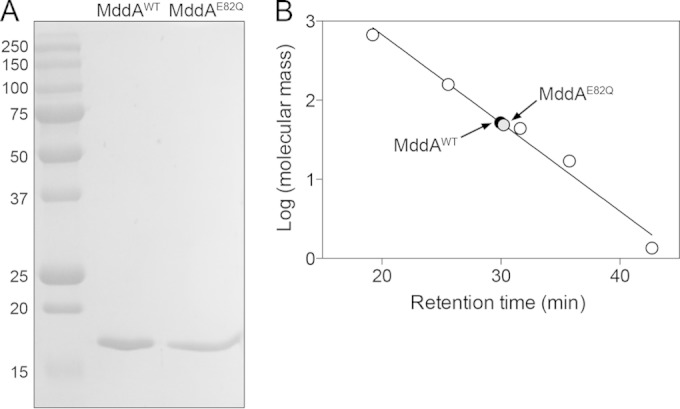 FIG 6