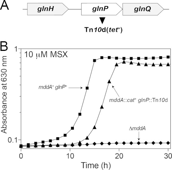 FIG 9