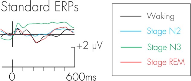 FIGURE 3