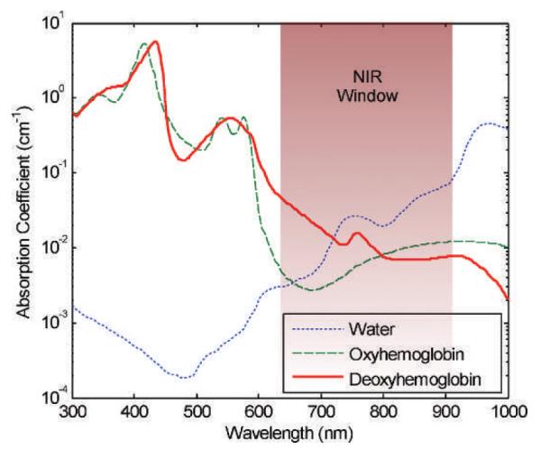 FIG. 1