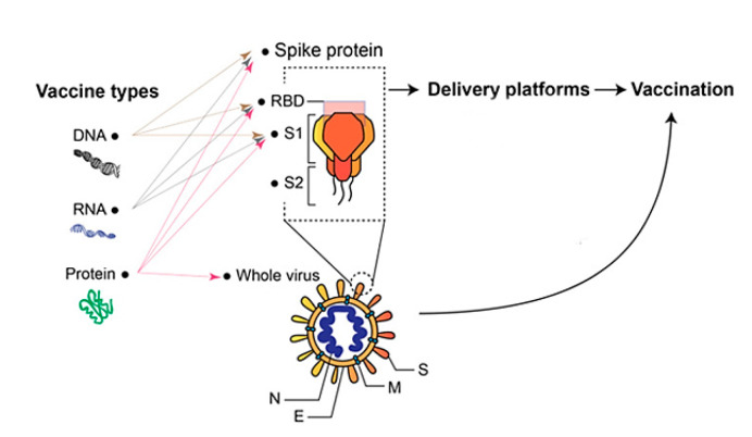 Figure 15