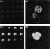 FIG. 6