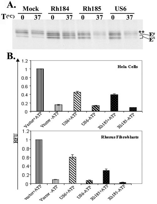 FIG. 6.