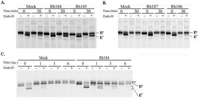 FIG. 5.